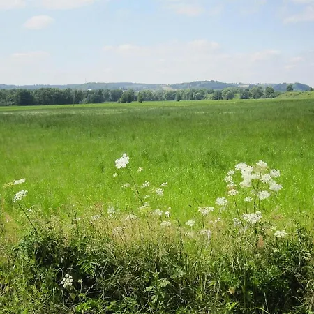 In Eifel With Terrace And Nature